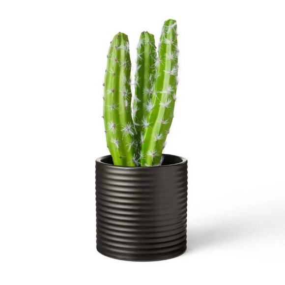 Hilton Carter Other - NEW! Hilton Carter Faux Cactus Multi-Stem Plant in Ribbed Black Pot